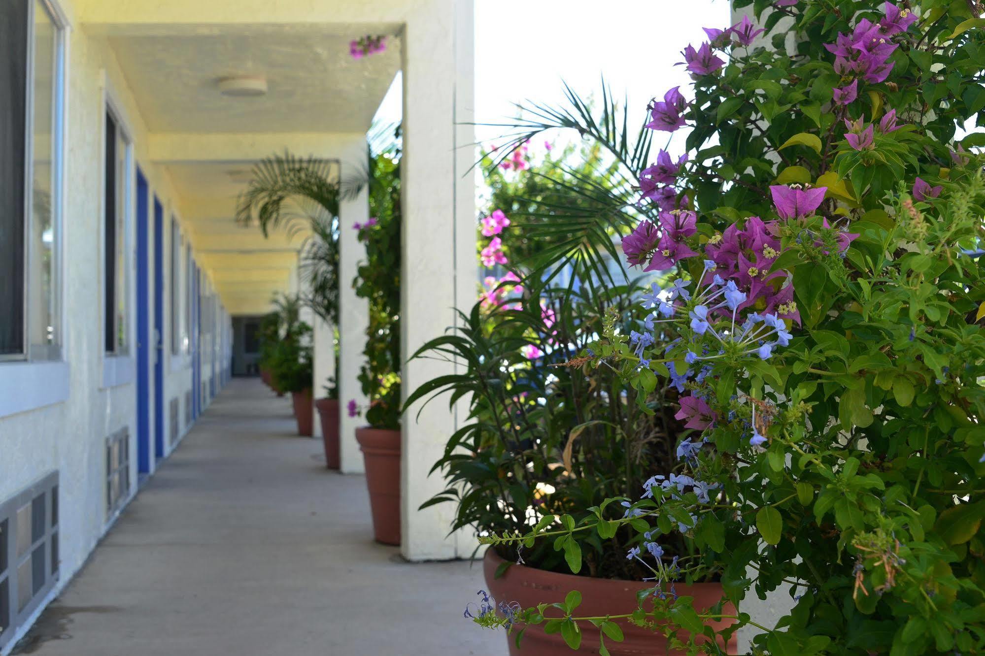 Americas Best Value Inn Bradenton-Sarasota Buitenkant foto